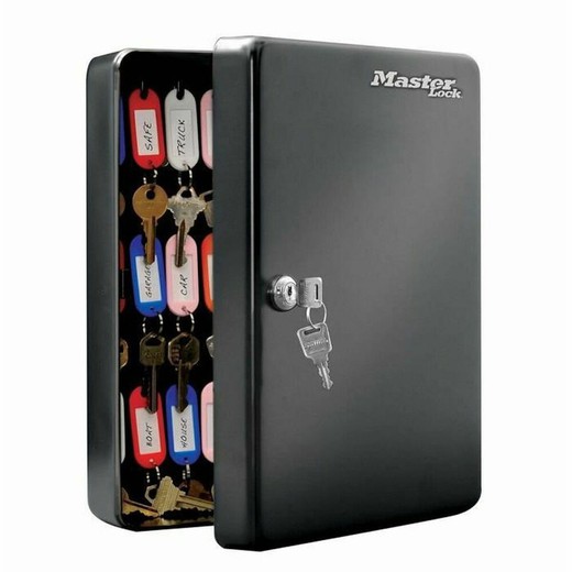 Armario de llaves Master Lock ‎9,8 x 23,9 x 30 cm 50 Llaves Negro Acero