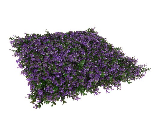 Jardín vertical Lavanda 50X50 cm pack 4 unidades Cañizos Faura